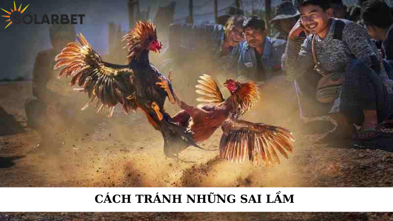 Cách tránh những sai lầm 