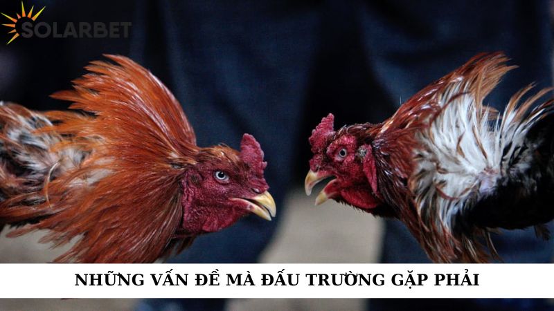 Những vấn đề mà đầu trường gặp phải