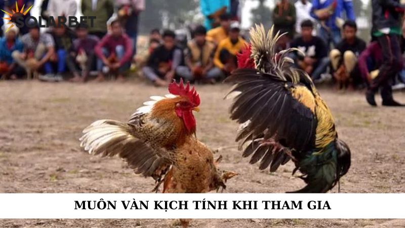 Muôn vàn kịch tính khi tham gia