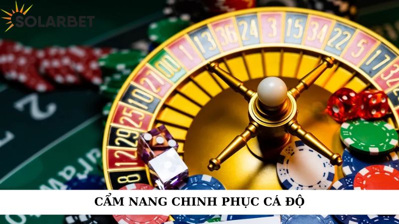 Cẩm nang chinh phục cá độ