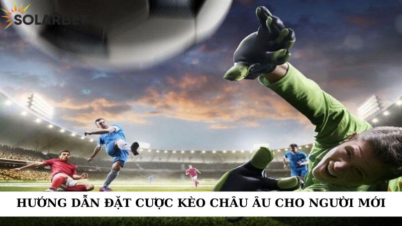 Hướng dẫn đặt cược kèo châu âu cho người mới