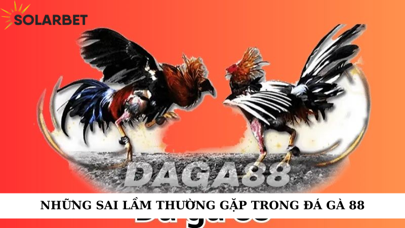 Những sai lầm thường gặp trong đá gà 88